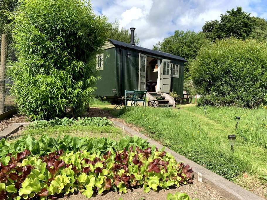Rushford Shepherd'S Hut Newton Abbot Exterior foto